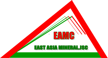 Logo EAMC